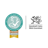 Welsh Centre for International Affairs logo